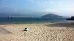 Vista de la Illa de Tambo desde una playa cercana en la costa de Pontevedra