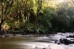 Río Mandeo con efecto seda en el agua, rodeado de bosque.