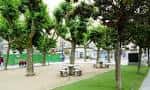 Zona de parque con árboles frondosos y bancos en la Alameda