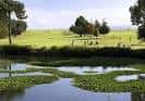 Vista panorámica del campo de golf con estanque y vegetación