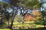 Majadahonda celebrará el Día del Medio Ambiente con rutas guiadas ...