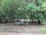 Mesas y bancos de piedra en una zona arbolada del Parque Forestal de Beade, ideal para reuniones