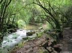 Río Lagares rodeado de exuberante vegetación y árboles frondosos.