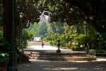 Vista del parque de la Alameda con fuente y árboles