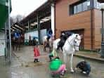 Club Hípico Jaizubia agregó una... - Club Hípico Jaizubia