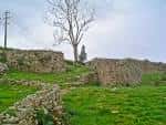 Acceso al Castro de Elviña con muros de piedra y vegetación