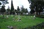 Vista general del Cementerio de San Mauro con césped y árboles