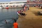 Bous a la Mar: when are the Dénia bulls?