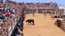 Bous a la Mar de Denia - ANOET