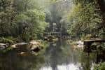 Tramo tranquilo del Río Mandeo con reflejos de los árboles en el agua.