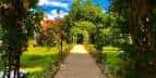 Sendero de jardín con un arco natural de vegetación y árboles