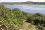 Complejo endorreico de Chiclana - Wikipedia, la enciclopedia libre