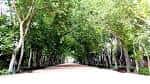 Parque Abelardo Sánchez de Albacete