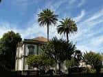 Palacete das Mendoza rodeado de palmeras y vegetación