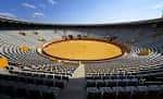 Mejoras en el ruedo de la Plaza de Toros de Palencia