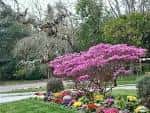 Jardín florido con azaleas y plantas de colores en el Pazo de Lourizán