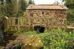 Molino de piedra rústico cubierto de vegetación en el Parque Forestal de Zamáns.