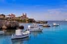 Excursión a la isla de Tabarca y el palmeral de Elche en Cullera ...