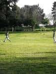 Amplia zona de césped en el Parque Eugenio Granell con árboles y personas disfrutando del espacio.