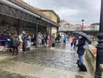 Así foi a vendimia infantil no paseo da Tolerancia de Betanzos ...