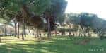 Pinar de Santo Domingo (2025) - All You Need to Know BEFORE ...