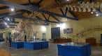 Museo de Historia Natural (2025) - All You Need to Know BEFORE You ...