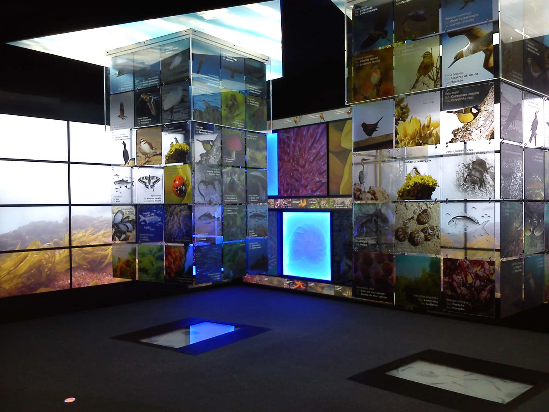 A lingua galega no cinema: Sesión de curtametraxes galegas premiadas