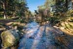 Sierra Norte de Guadarrama Natural Park | Portal de Turismo de ...