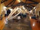 Esqueleto de ballena - Picture of Museo de Historia Natural ...