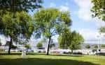 Parque Rosalía de Castro con el Recinto Ferial de Pontevedra al fondo