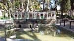 File:Estanque Parque Abelardo Sánchez de Albacete (patos).jpg ...