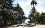 Palm Trees Park - Wikipedia