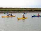 C.E.A.A.N. Coto de la Isleta - Official Andalusia tourism website