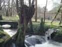 Río Gafos con árboles frondosos y un puente de piedra en la distancia