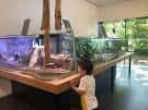▷ Museo de Ciencias Naturales de Granollers - Visitas a museos a ...