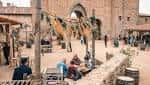 Puy du Fou Spain Season 2022, Toledo - Reserving.com