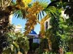 Dónde Estamos, Horarios y Contacto - Jardín Botánico La Almunya ...