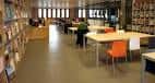 Interior de la biblioteca con mesas de estudio y estanterías