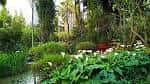 Jardín Botánico La Almunya del Sur
