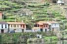 Casas tradicionales a orillas del río con viñedos en terrazas al fondo