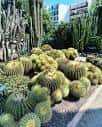 Jardí Botanic de la Universidad de Valencia - Picture of Jardin ...