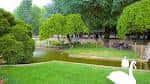 Parque verde con estanque y cisnes