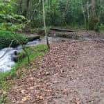 Río Gafos con orillas boscosas y sendero de tierra
