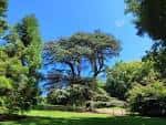 File:Parque de Cristina Enea, Donostia-San Sebastián (3).jpg ...