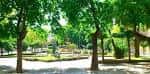 Plaza Obispo Cesáreo | Ourense Turismo