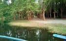 Zona de la ribera del río Mandeo con árboles y un claro