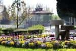 Conoces nuestros parques y jardines? En Pozuelo de Alarcón ...