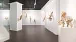 Sala de exposición de la galería con múltiples obras de arte