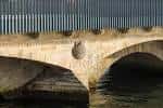 Detalle de los arcos y un elemento decorativo del Puente del Burgo