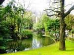 Estanque rodeado de exuberante vegetación y árboles frondosos en el corazón del parque